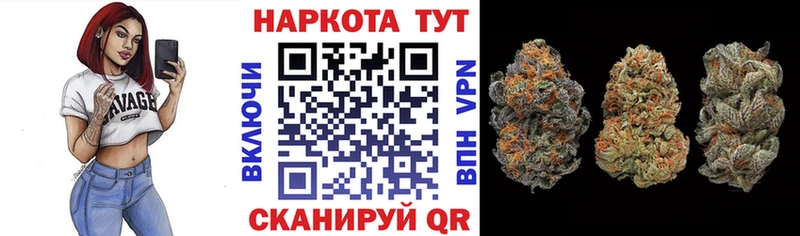 Как найти наркотики Приозерск Метадон  МЕФ  Alpha PVP  АМФ  ГАШИШ  Марихуана 
