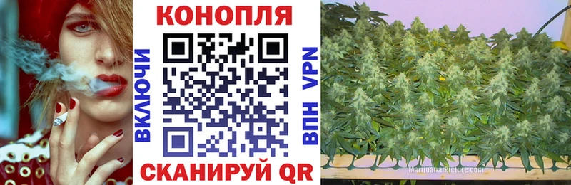 Бошки Шишки MAZAR  мега ONION  Приозерск 